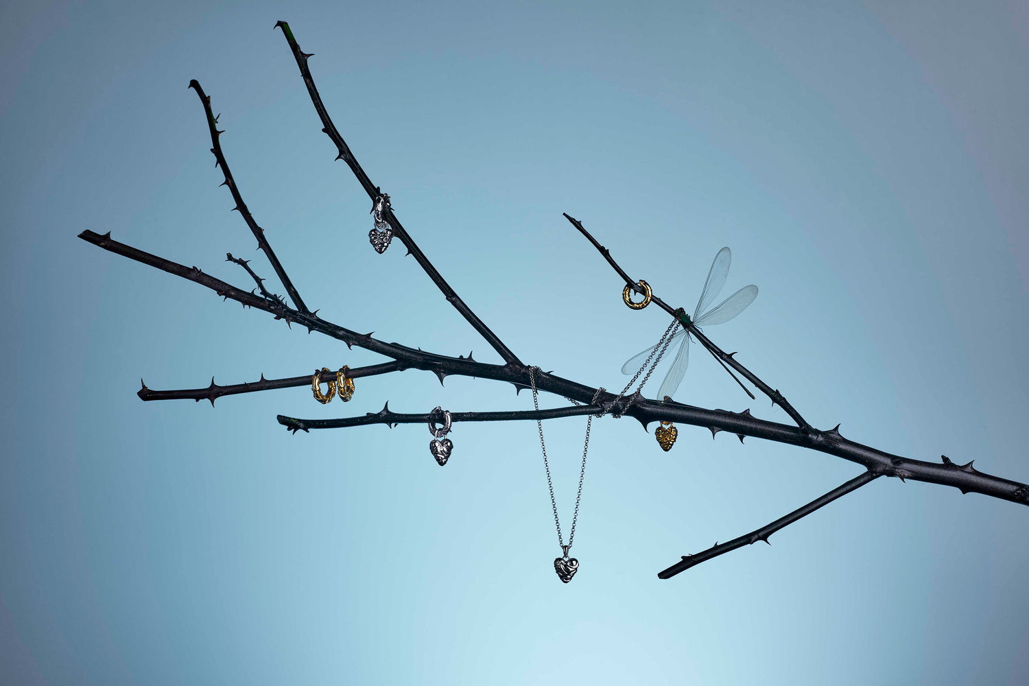 Thorn and Thunder Jewellery