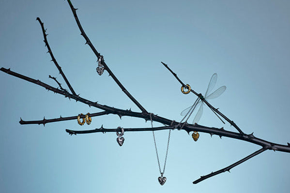WILD THORN