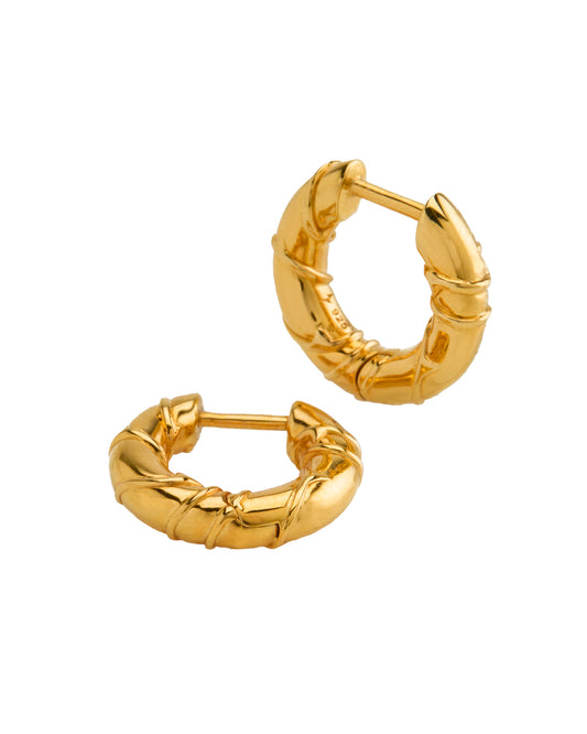 Gold hoop earrings on a white background