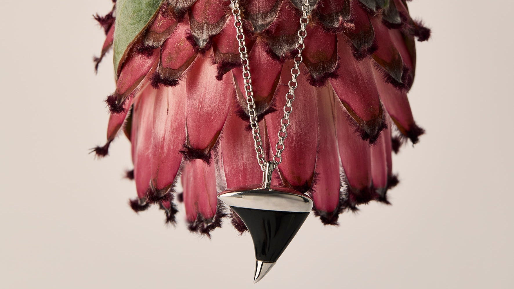 silver thorn pendant with black onyx on a silver belcher chain hanging from a pink flower.