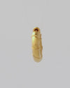 WILD THORN HUGGIE GOLD VERMEIL – Mini Hoop Earring