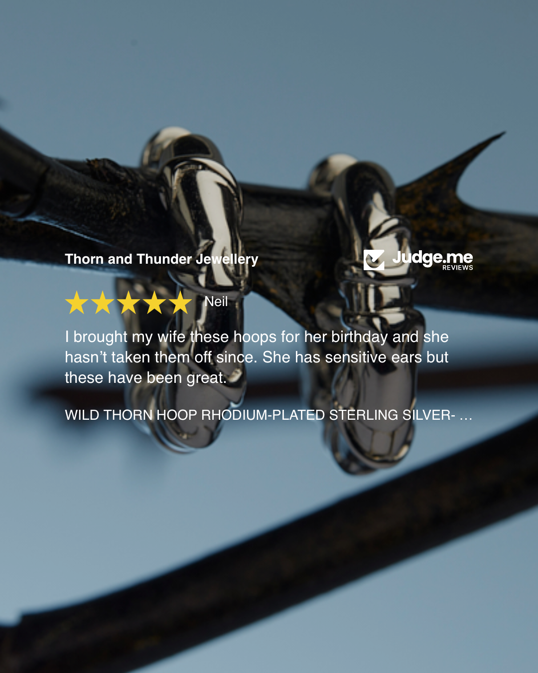 Pair of wild thorn hoop earrings with a five-star rating on a blue background