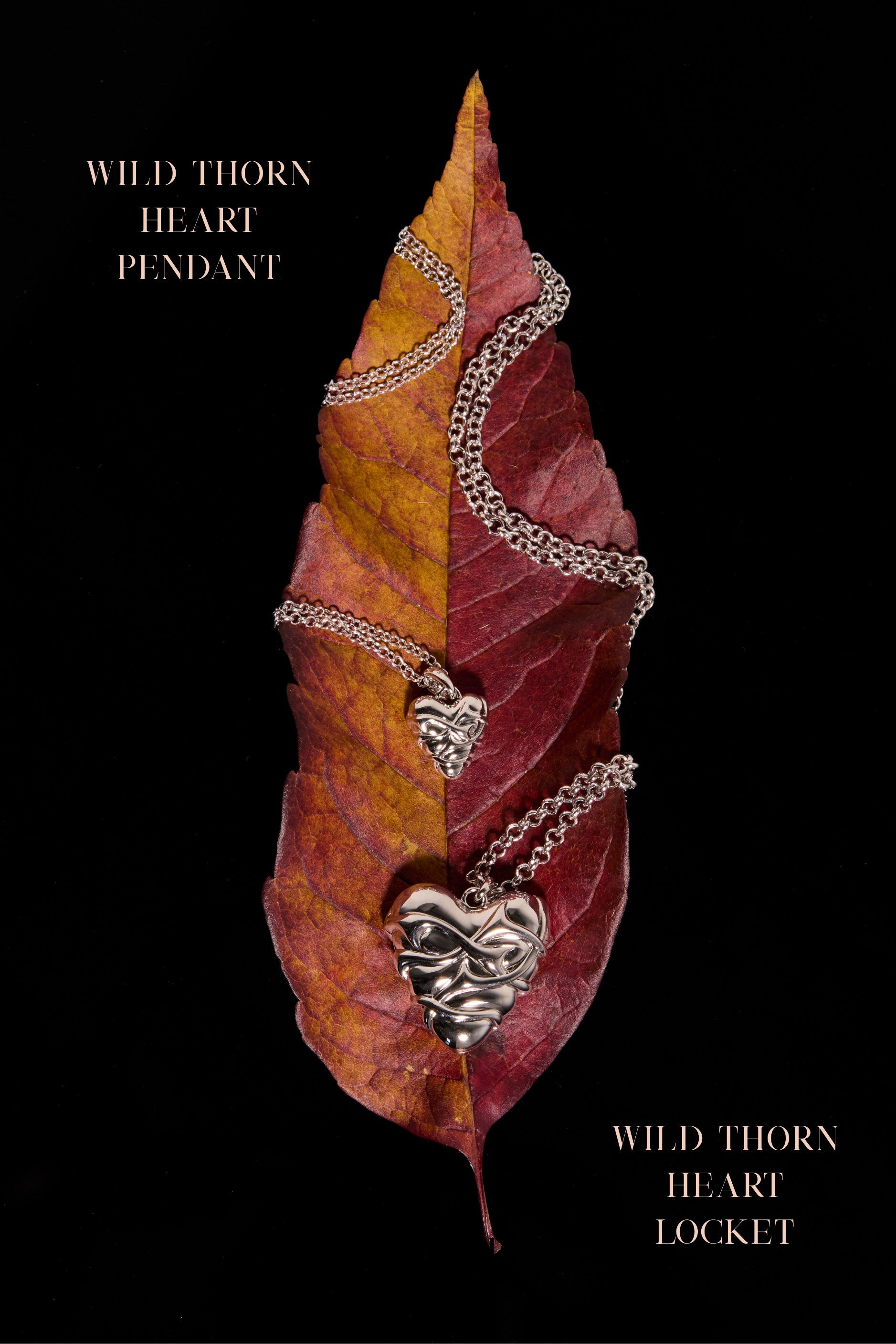 Silver small heart pendant and large heart locket both with thorns wrapped around the pendant resting on an autumnal leaf and a black background.
